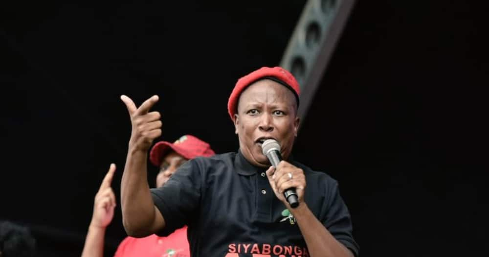 Julius Malema, ,EFF