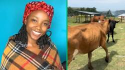 SA makoti shares visuals from her lobola day in viral TikTok video