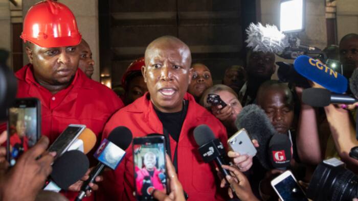 Julius Malema rejects talks of Ramaphosa getting second term: "Worst president ever"