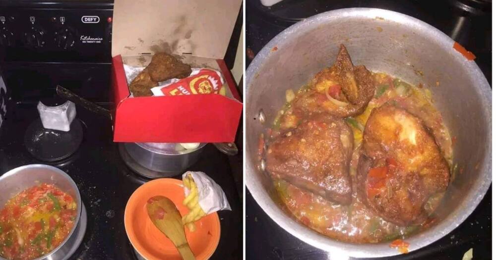 Laughing Out Loud: Social Media Reacts to Bizarre Hungry Lion Chicken Stew Creation