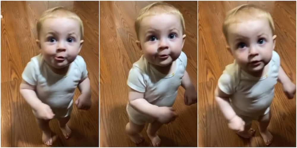 Moment toddler tries to tell his mum 'who let the dogs out' sends social media into frenzy, see how he said those words