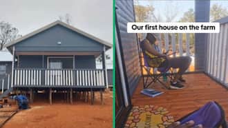 Man builds wooden Wendy house for R200k in TikTok video, SA inspired