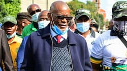 State Capture Report: Zondo recommends that Ace Magashule be held accountable for failed Vrede farm project