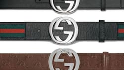 What is a Gucci belt price in South Africa? Everything you need to know