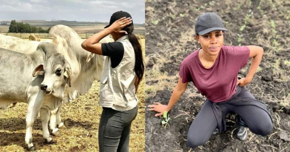 Stunning lady, 27, inspires Mzansi, farming