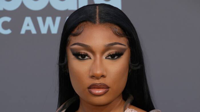 Is Megan Thee Stallion transgender? What is the rap star's sexuality?