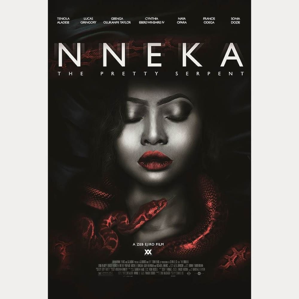Nollywood movies - nneka the pretty serpent