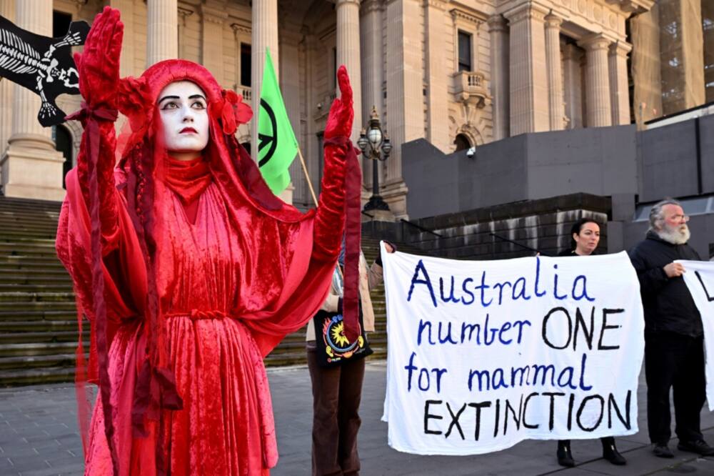 Extinction Rebellion members protest in Melbourne Tuesday following the release of a dire environmental report
