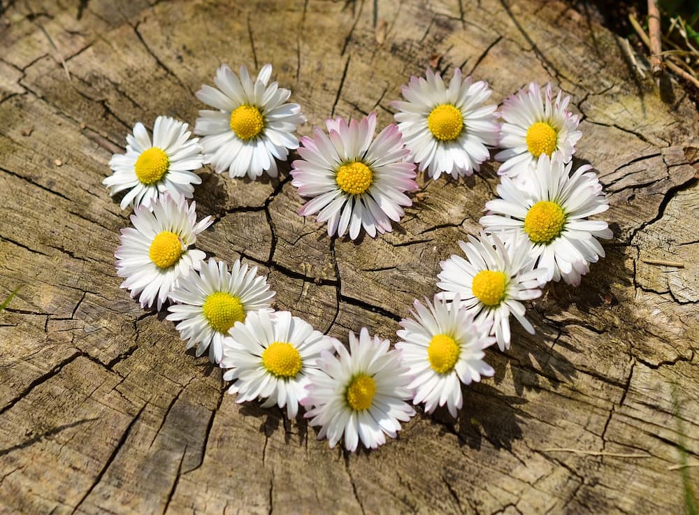 love images wallpaper love images wallpaper