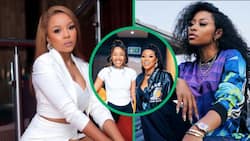 Ambitiouz Entertainment allegedly behind DJ Zinhle and Cici's song 'Thula's removal from streaming platforms