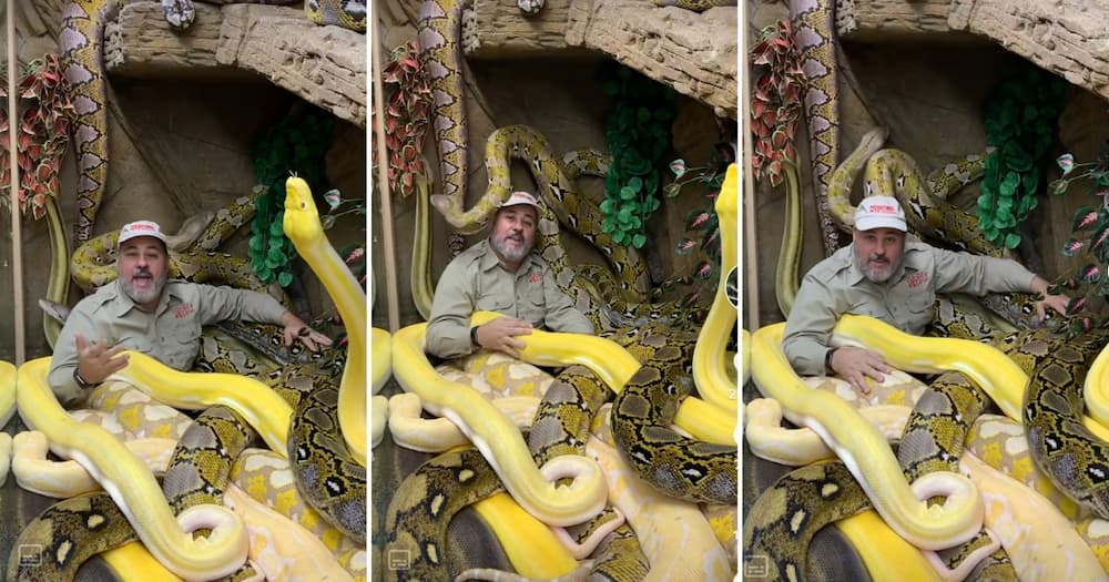 Video of a man sitting in a snake pit