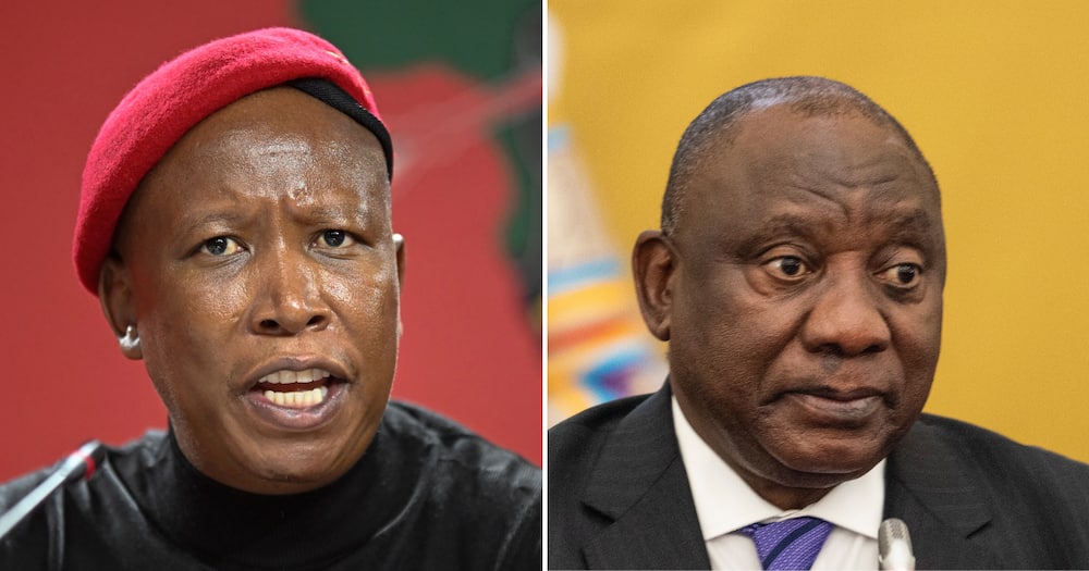 Julius Malema, EFF, video of Ramaphosa, counting hard cash, could be leaked