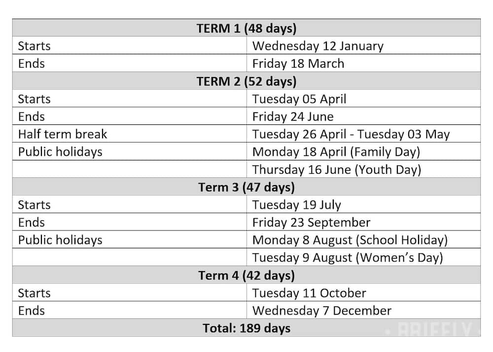 School holidays in South Africa 2022 School calendar and other details