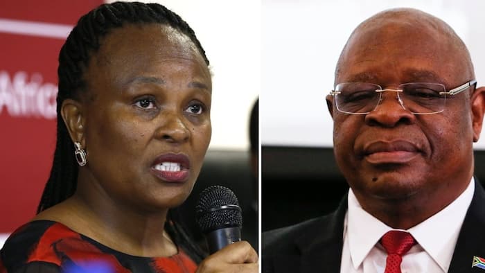 Judge questions if Busisiwe Mkhwebane's lawyer accused Chief Justice Raymond Zondo of lying in court