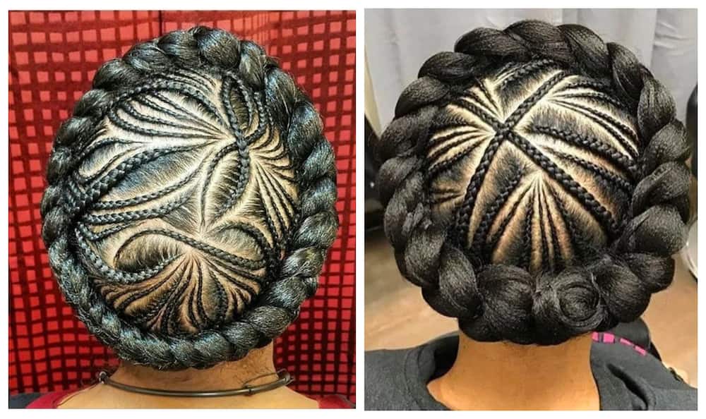 rastafarian braids
