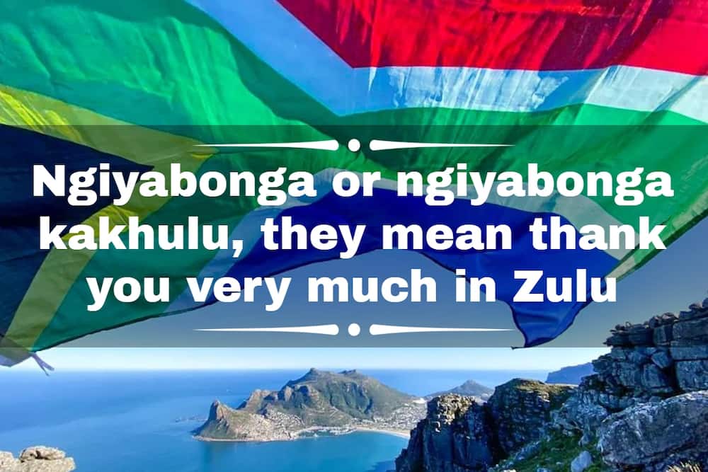 How do you say thank you in 11 official languages in South Africa?