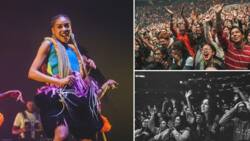 Madison Square Garden crowd chants Sho Madjozi's name after her epic performance, SA proud