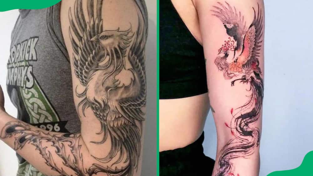 Arm phoenix tattoos