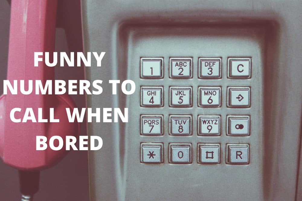 Funny phone numbers to call when you have nothing else to do