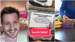 "Stop telling kids what they should eat": UK dad writes daughter's teachers a cheeky note attached to lunchbox