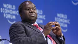 Former Minister Tito Mboweni says basic income grants are not going to fix South Africa's economy