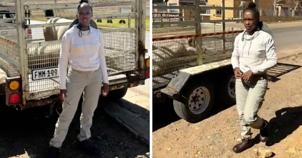 A young black farmer showcases her life at work.