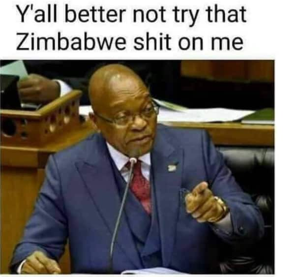 Zuma memes