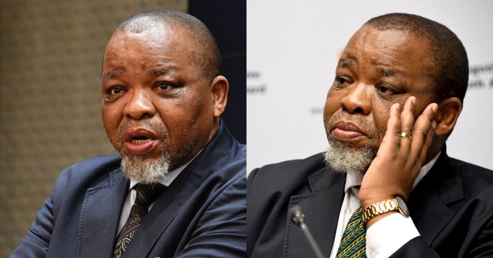 Gwede Mantashe, ANC, elections, unemployment, economy