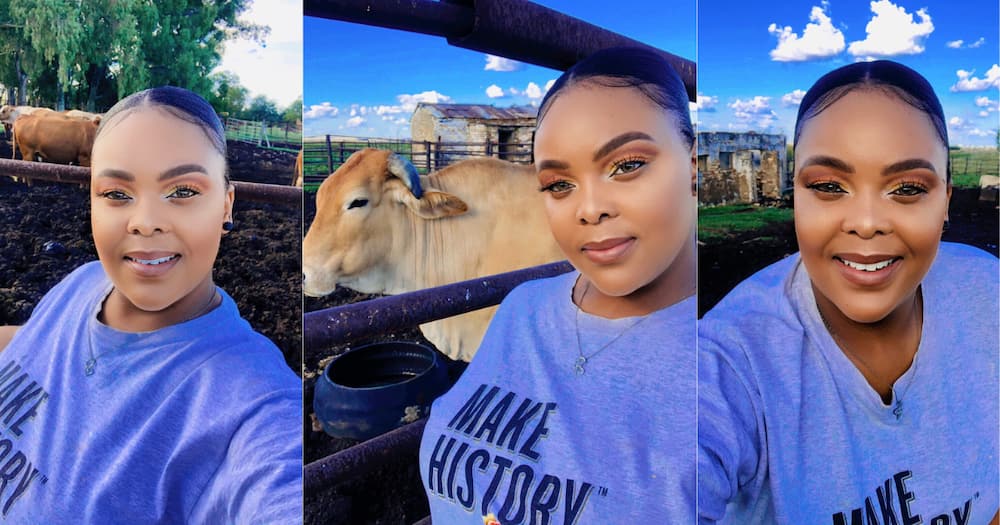 Gorgeous Female farmer', snaps, cows