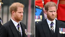 Prince Harry reveals he killed 25 people in Afghanistan, SA reacts: "He's searching for enemies"