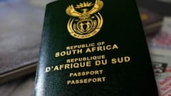 Simple requirements for obtaining a South African ID book