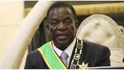 Mnangagwa given deadline to leave office as Zim faces food insecurity