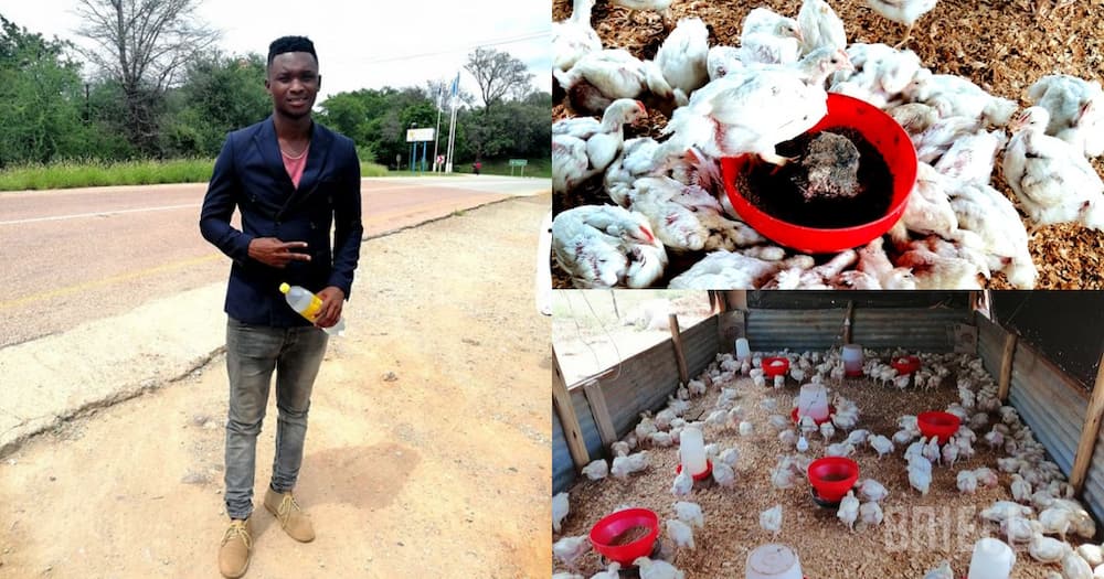 Exclusive: Thabang Turned Money for an Iphone into a R38k Poultry Farm