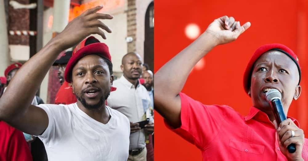 Julius Malema shares post from police about Ndlozi's rape allegations
