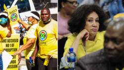 COPE wants Lindiwe Sisulu fired for "unacceptable behaviour" at tourism meeting, SA agrees