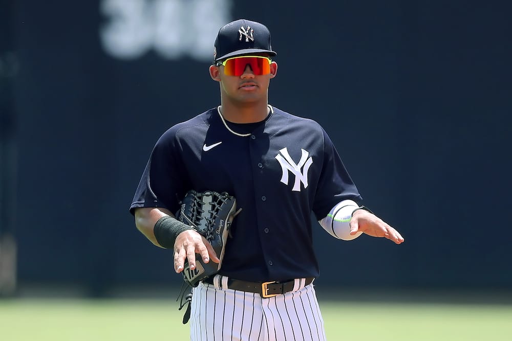 Somerset Patriots Jasson Dominguez (32) poses for a photo before