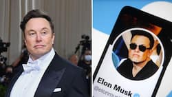 Musk's Twitter deal on ice over spam accounts issue