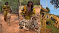 Into the wild: Model filmed walking with big cats in video hailed "Black Princess"