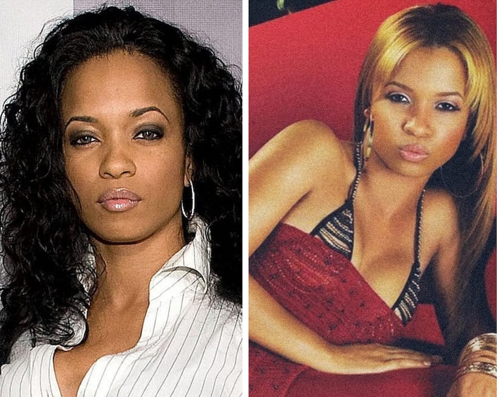 Karrine Steffans educational background