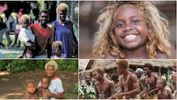 Melanesians: Cool facts learnt about the world's only black blondes