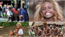 Melanesians: Cool facts learnt about the world's only black blondes