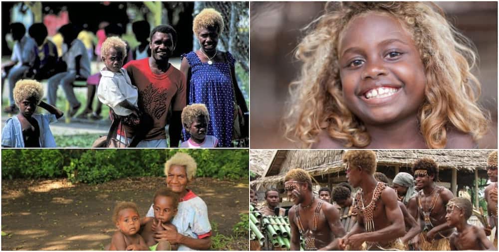 Melanesians: Interesting things about the world's only black blondes
