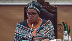 Parliament speaker Mapisa-Nqakula says SA will continue to support Russia despite criticism
