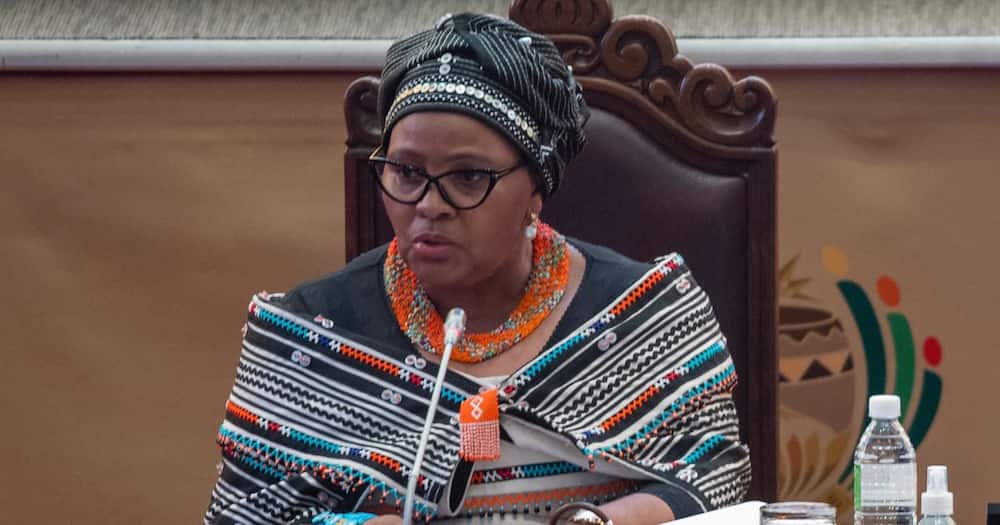 National Assembly Speaker Nosiviwe Mapisa-Nqakula says SA will support Russia
