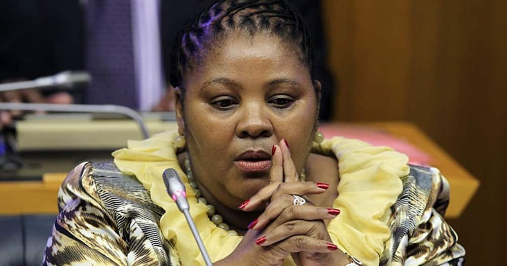 Minister Nosiviwe Mapisa Nqakula, President Cyril Ramaphosa, Retract, statement