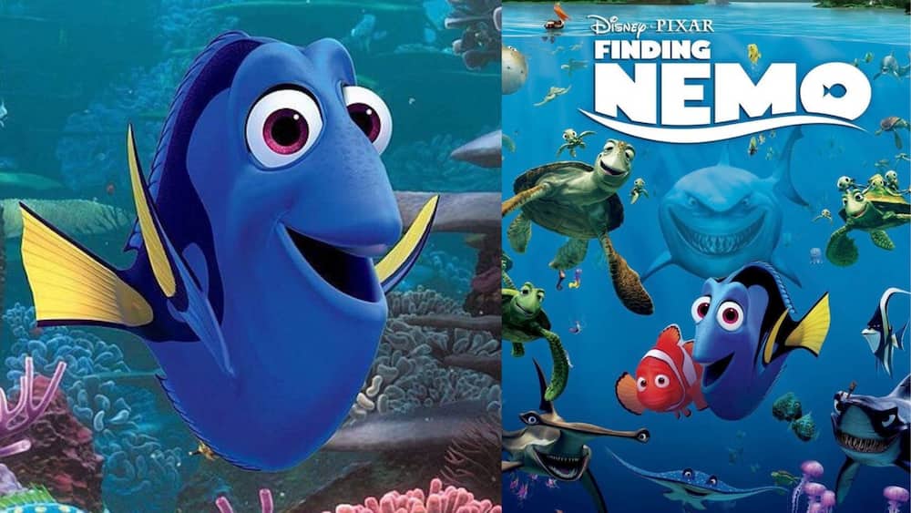 Nemo from Disney Pixar's Finding Nemo
