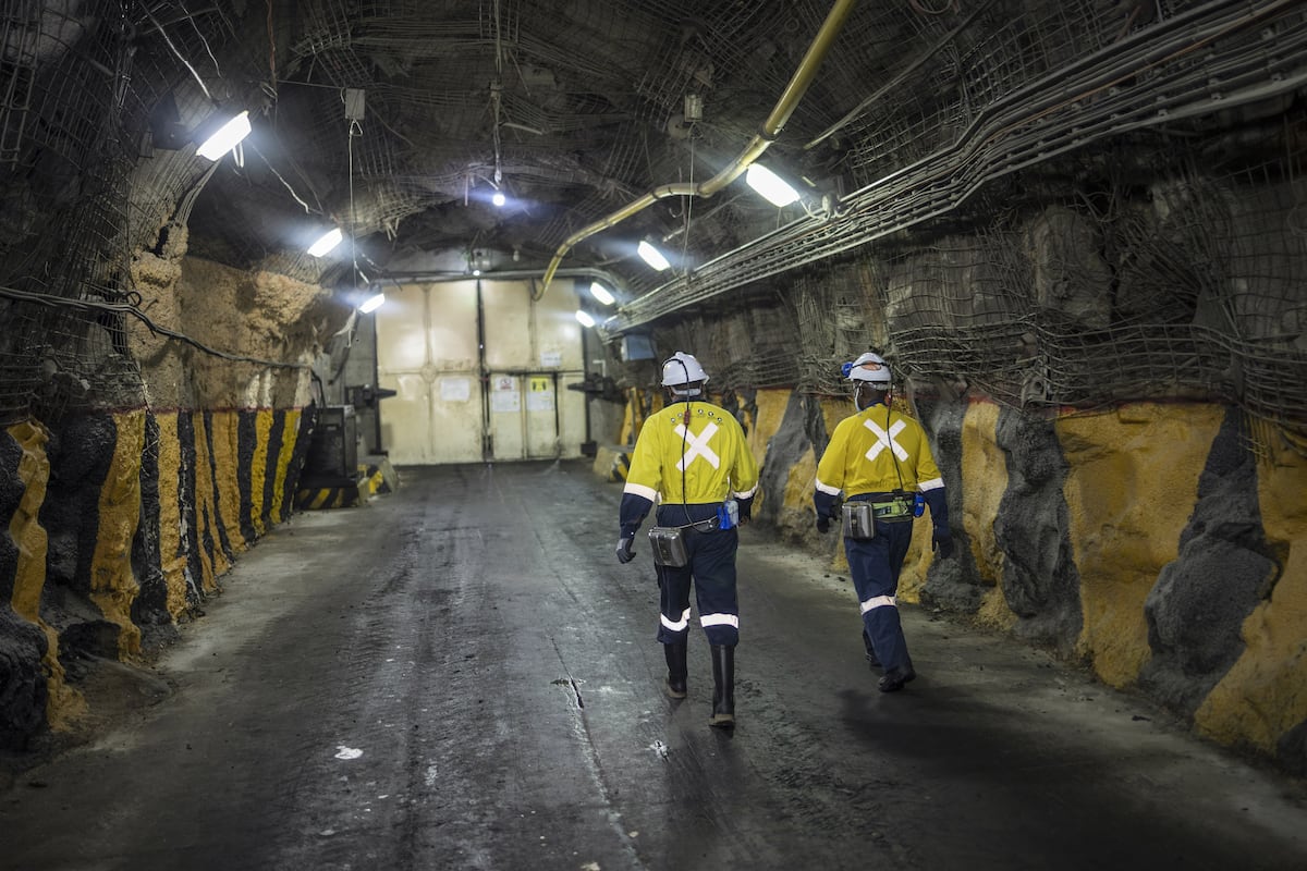 Mining Safety Officer Qualifications