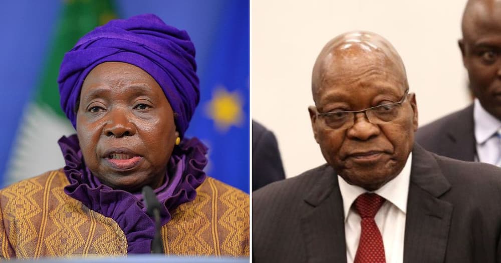 Nkosazana Dlamini-Zuma & former president Jacob Zuma