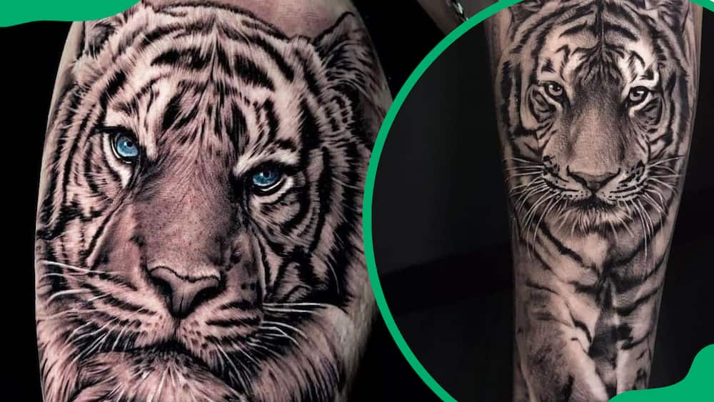 Bengal tiger tattoo design