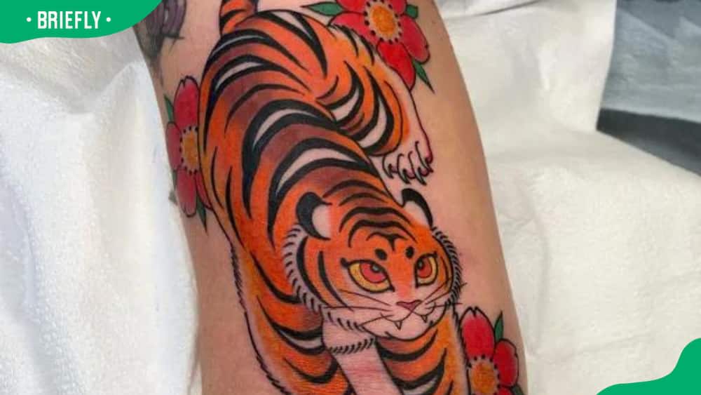 Japanese traditional tiger tattoo design